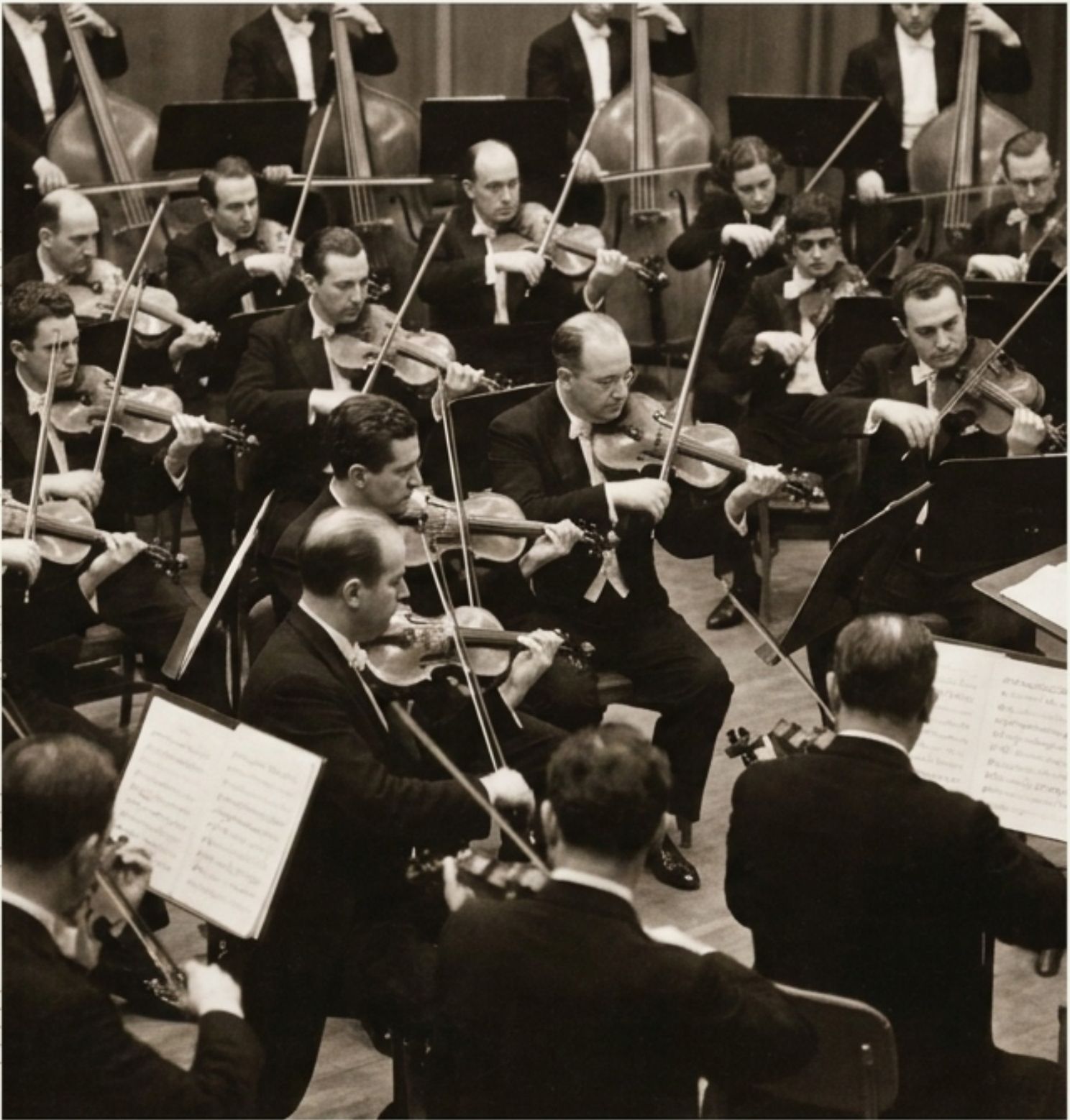 The Israel Philharmonic Orchestra